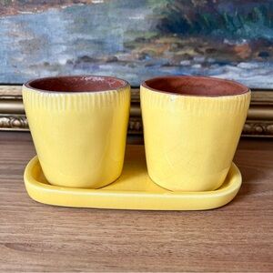 Pottery Barn Double Planter with Tray (Set 3)